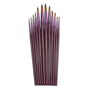 Artists Paint Brush Set
