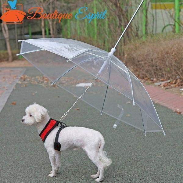 Parapluie inversé