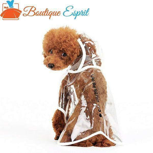 Transparent imperméable pour chien