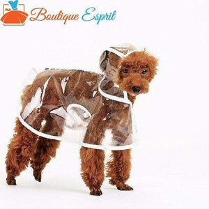 Transparent imperméable pour chien