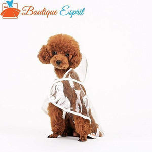 Transparent imperméable pour chien