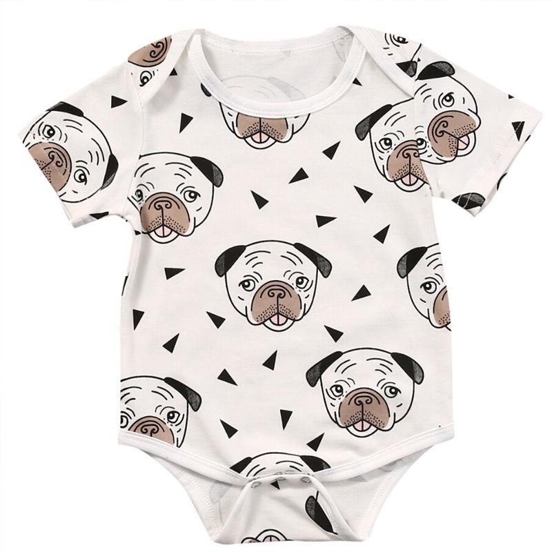 Pug Rompe