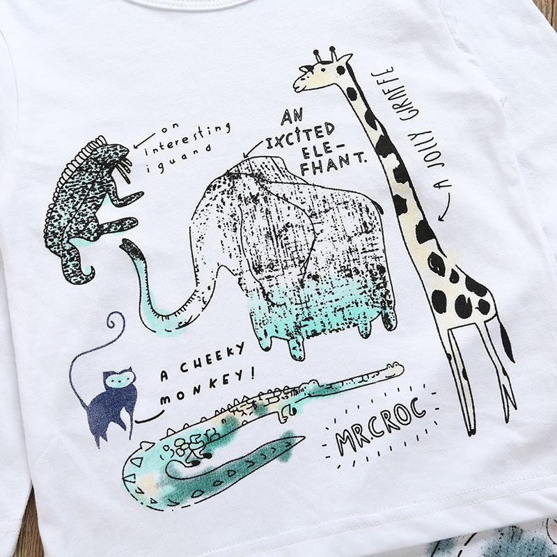 The Zoo Set