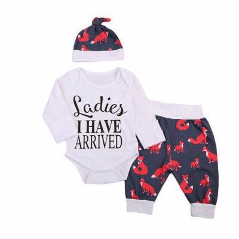 Little Fox Has Arrived Set