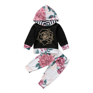 Hoodie Tops & Pants 2Pcs Outfits