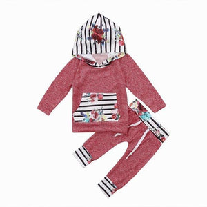 Hoodie Tops & Pants 2Pcs Outfits