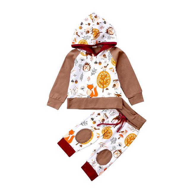 Hoodie Tops & Pants 2Pcs Outfits