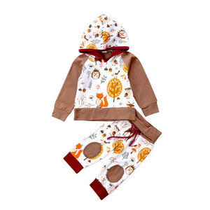 Hoodie Tops & Pants 2Pcs Outfits