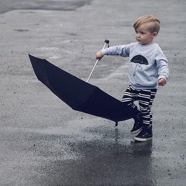 Rainy Day Set