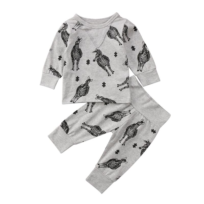 The Zebras Set