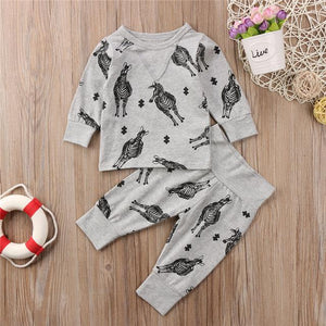 The Zebras Set